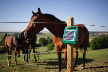 AKO Sun Power S250 schrikdraadapparaat met zonnepaneel